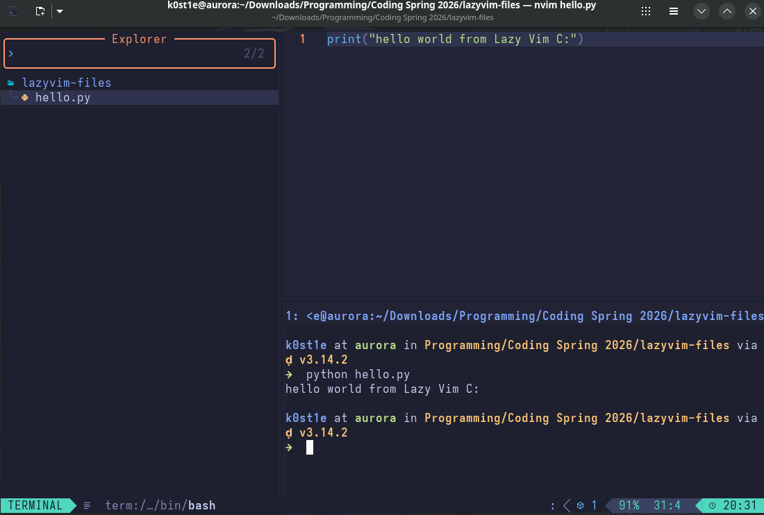 LazyVim Showcase.