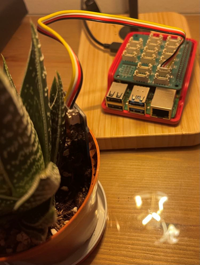 An alloy plant setup with raspberry pi.