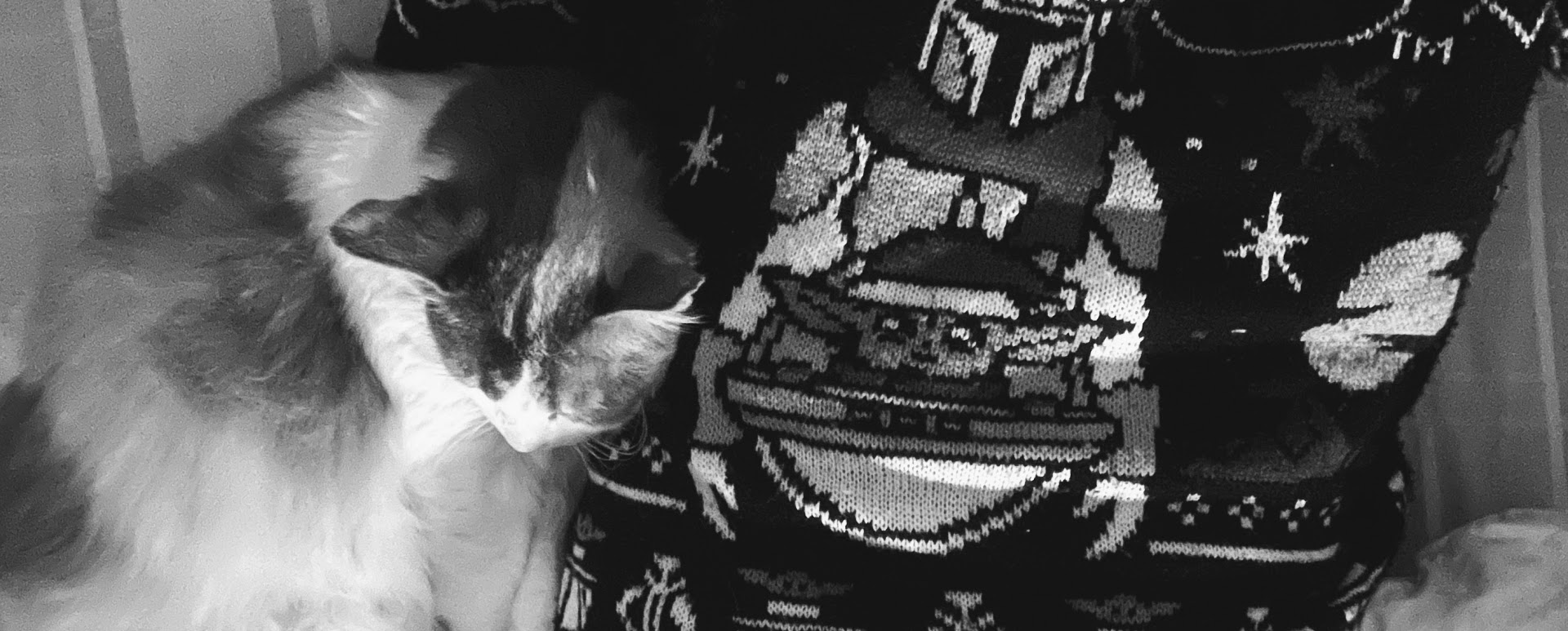 Me and a cat chilling.