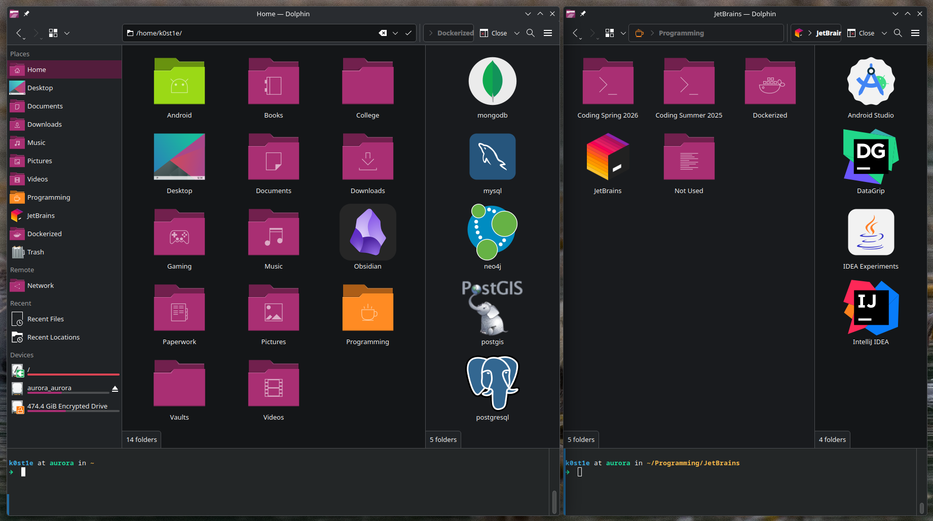 Dolphin file explorer showcasing different directories with colorful custom icons.